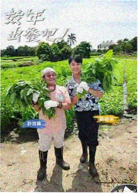 好看影视网幕后手记配图四